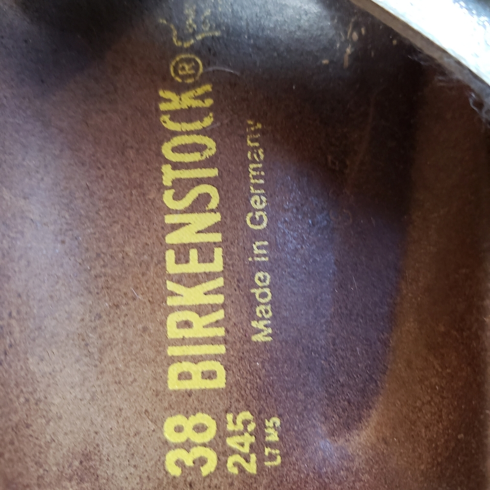 Birkenstock sandle slides
